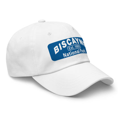 Biscayne National Park Dad Hat  - Yupoong 6245CM Dad Hat - Side View - Color: Spruce